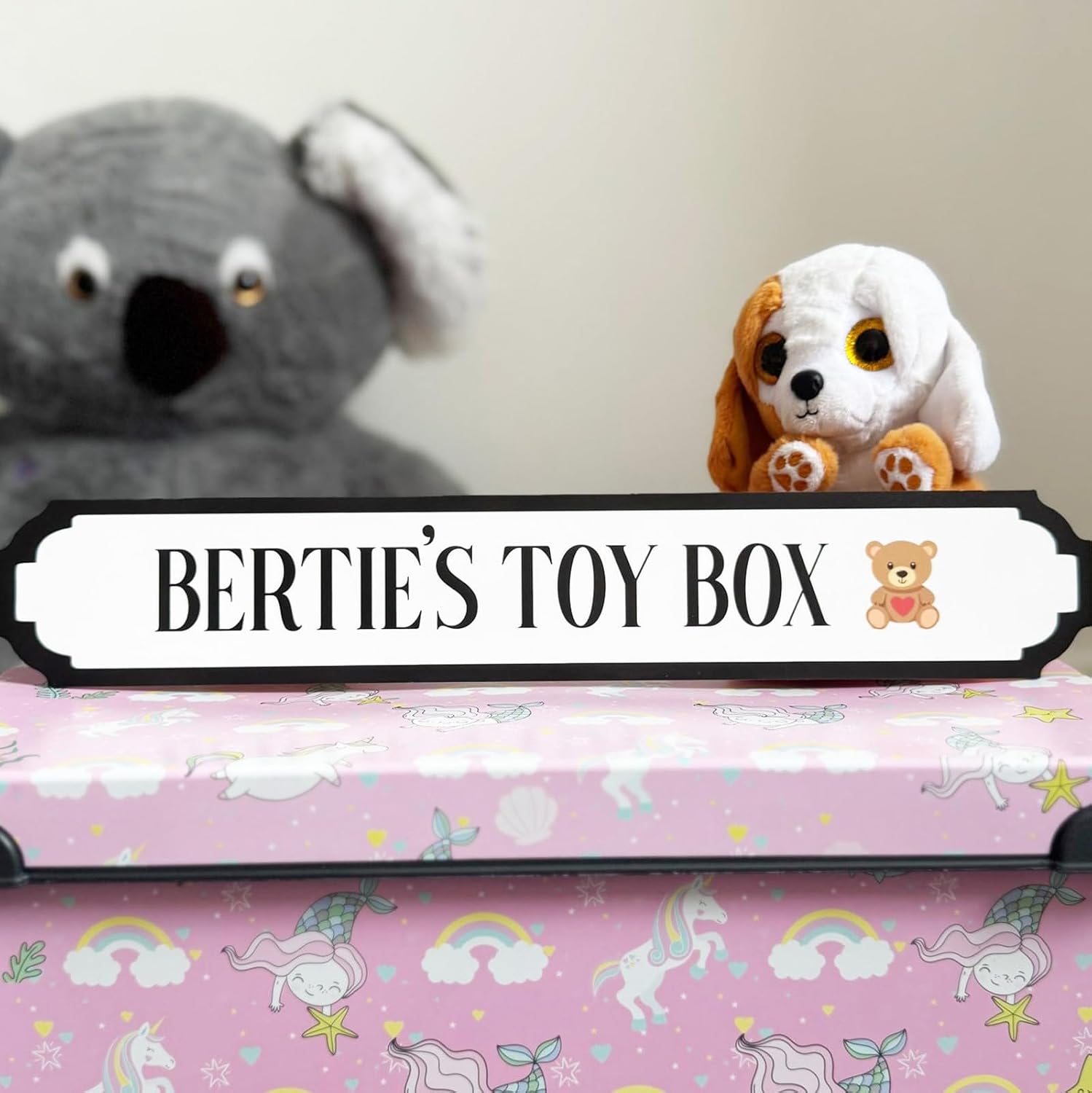Custom Acrylic Name Sign for Toy Box - Personalized Kids Name Plaque