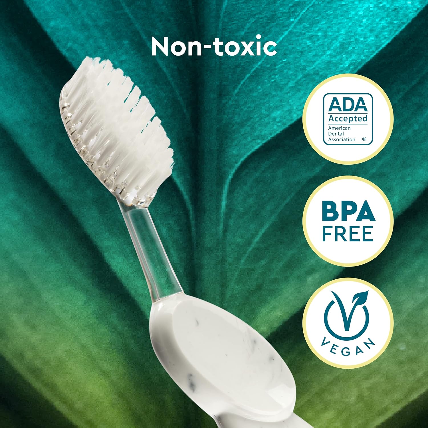Radius Big Brush BPA Free & ADA Accepted Toothbrush Designed to Improve Gum Health & Reduce Gum Issues - Right Hand - Pack of 3 - Image 8