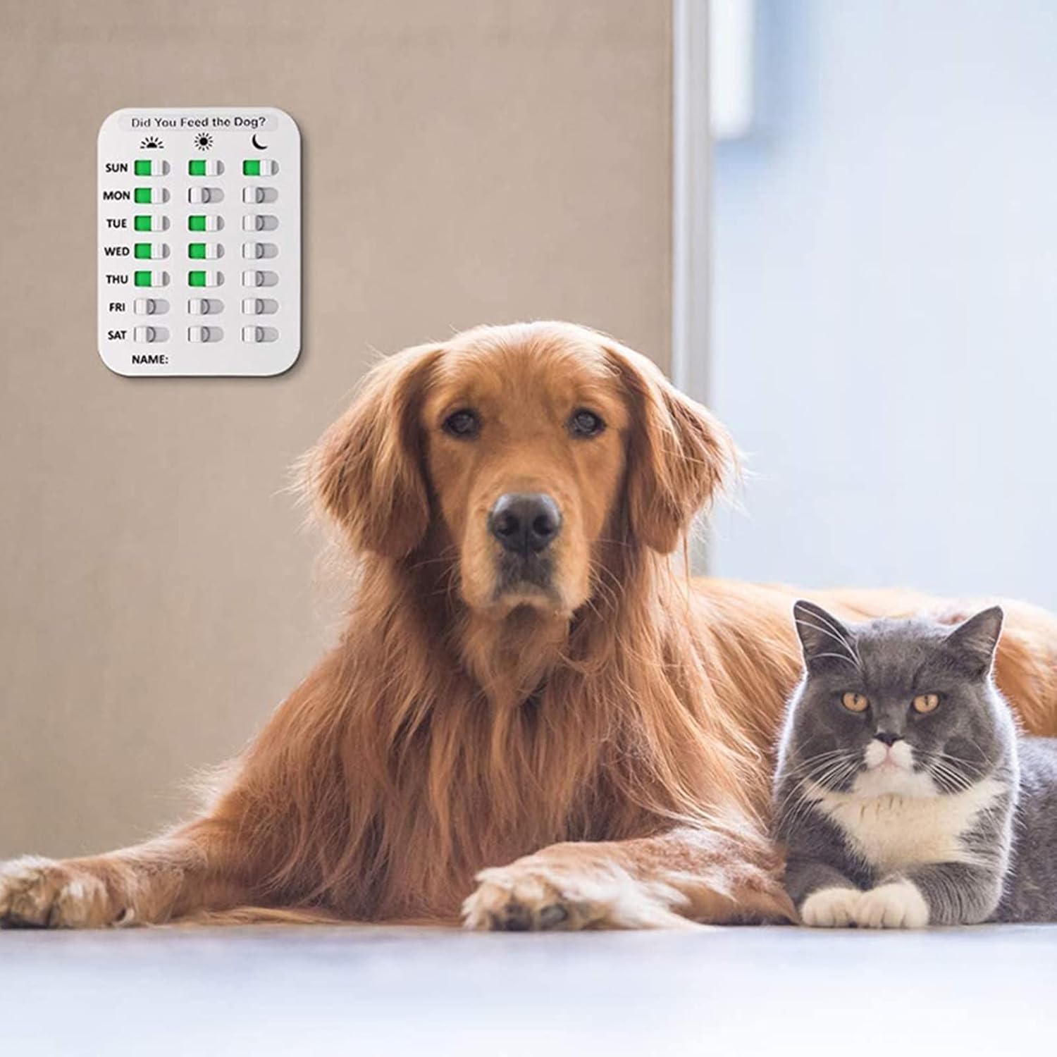 Dog Medication Reminder with Feed Magnet Back Mount Easy Installation Adhesive Sticker Included - Image 3