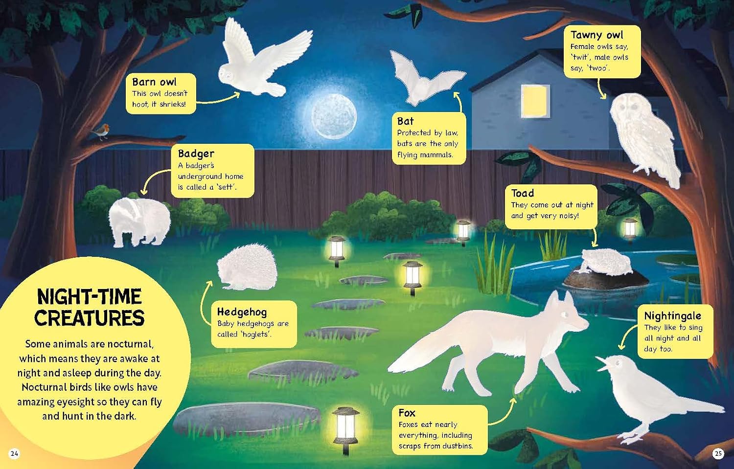 RSPB Big Garden Birdwatch Activity Book: The essential birdwatching activity book with 170+ stickers! - Image 5