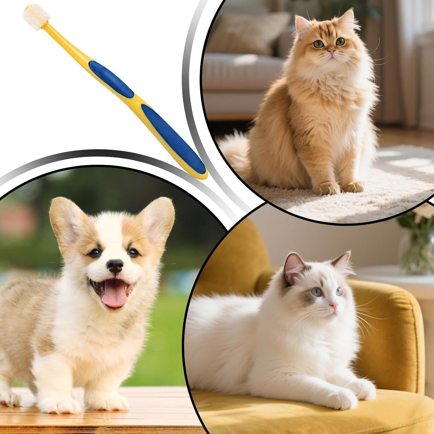 Toothbrush for Cats Soft Bristle Cleaning Tool - Image 4