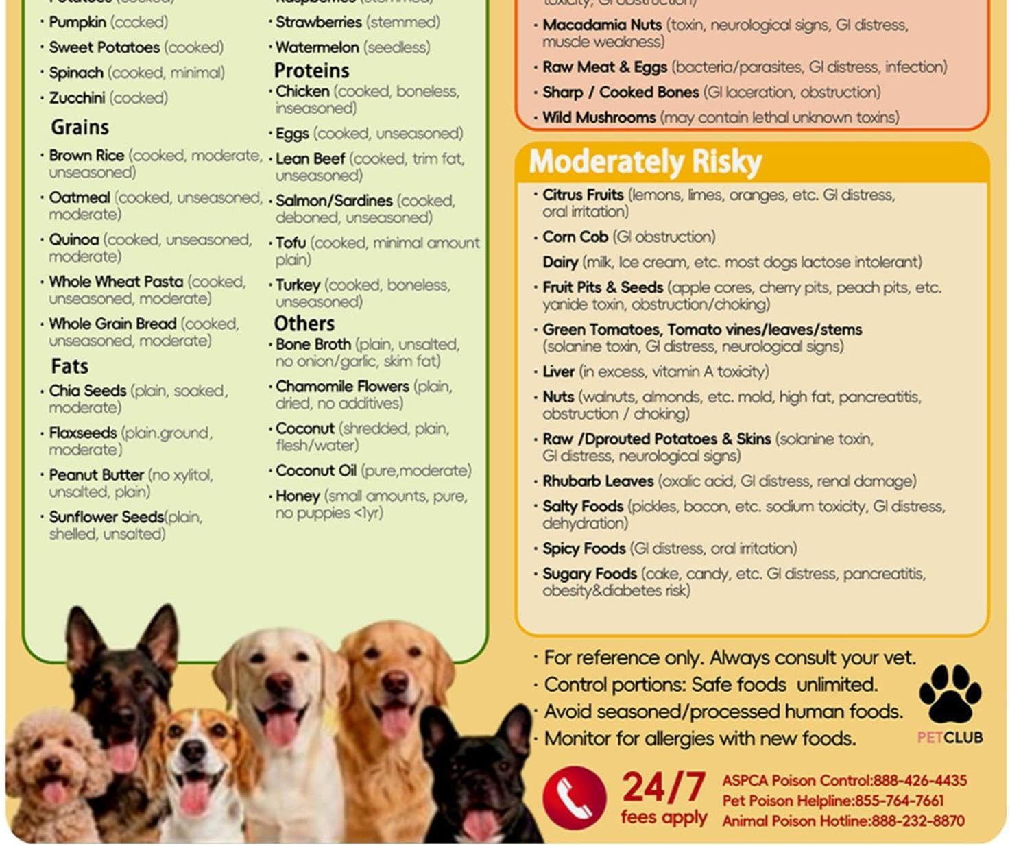 Food Chart for Dogs Decorative Magnetic Safe List - Image 9