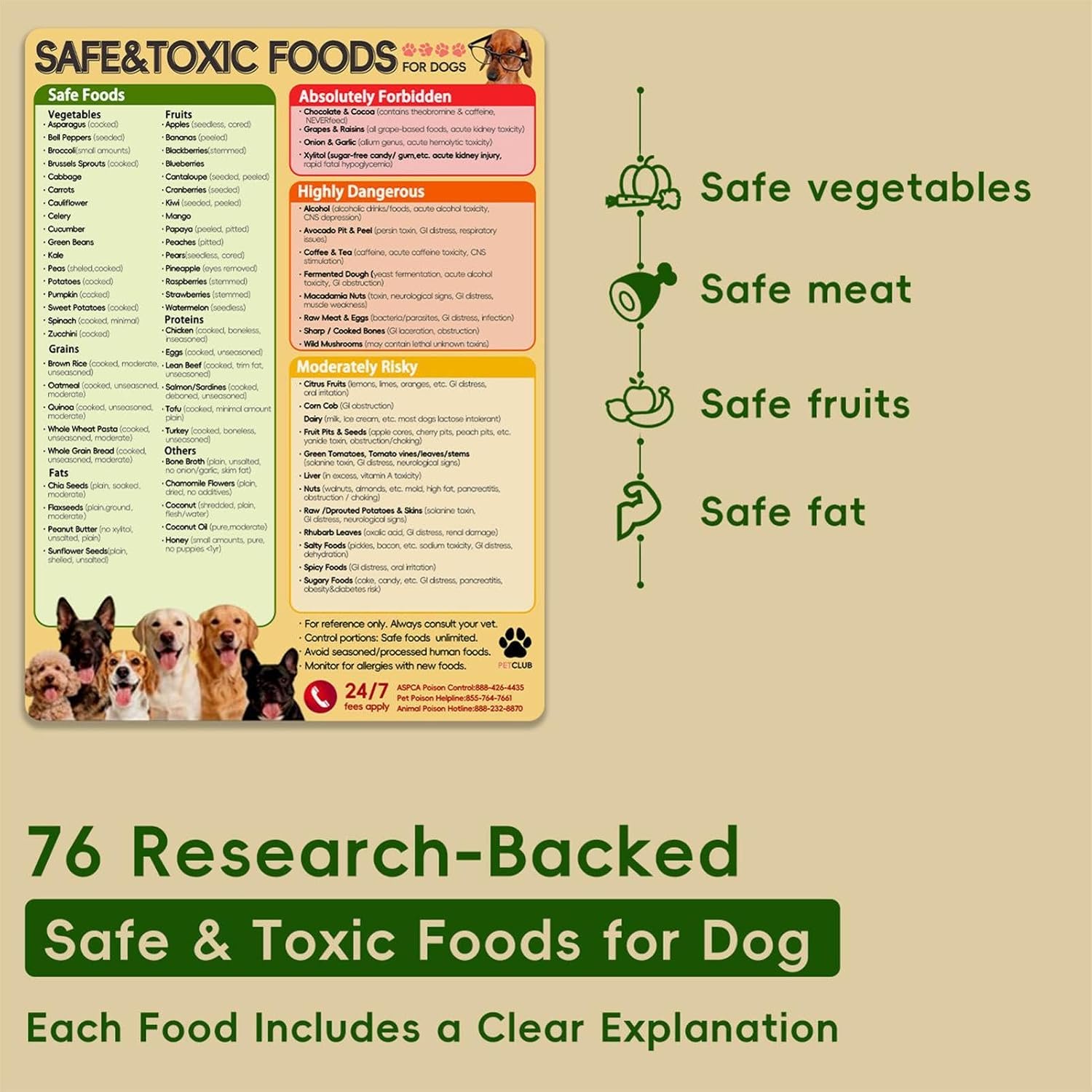 Food Chart for Dogs Decorative Magnetic Safe List - Image 4