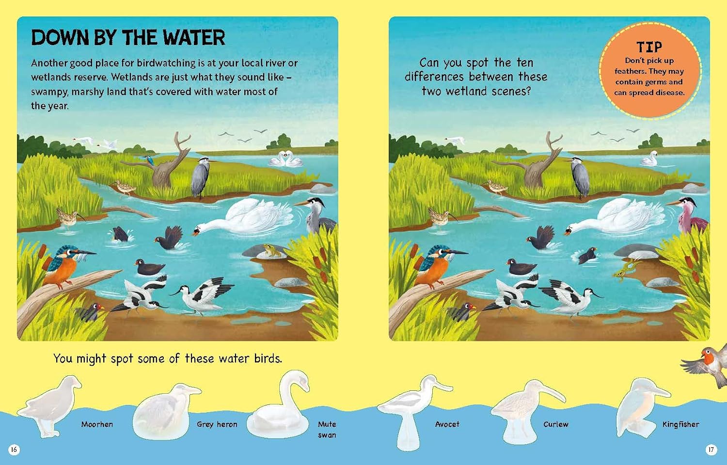 RSPB Big Garden Birdwatch Activity Book: The essential birdwatching activity book with 170+ stickers! - Image 4