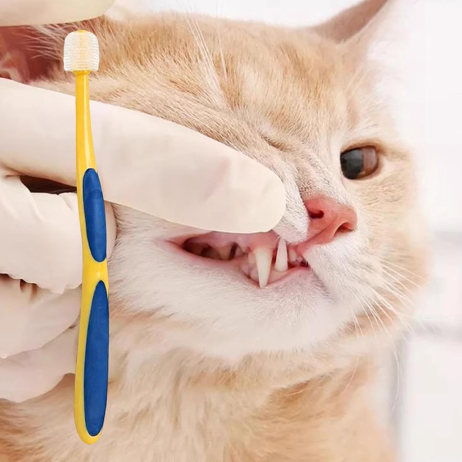 Toothbrush for Cats Soft Bristle Cleaning Tool - Image 7
