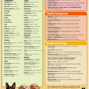 Food Chart for Dogs Decorative Magnetic Safe List