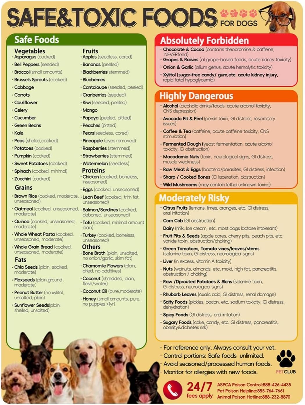 Food Chart for Dogs Decorative Magnetic Safe List