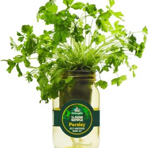 Mr Fothergill’s Parsley Self-Watering Grow Mason Jar Kit