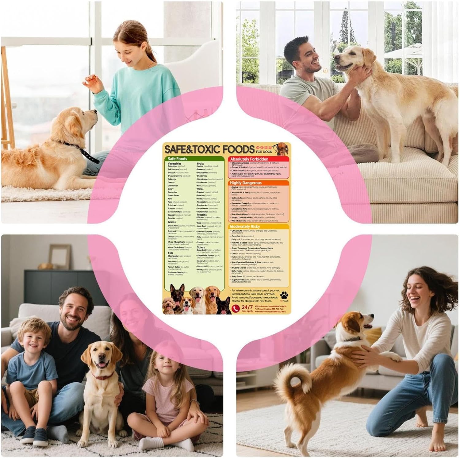 Food Chart for Dogs Decorative Magnetic Safe List - Image 5
