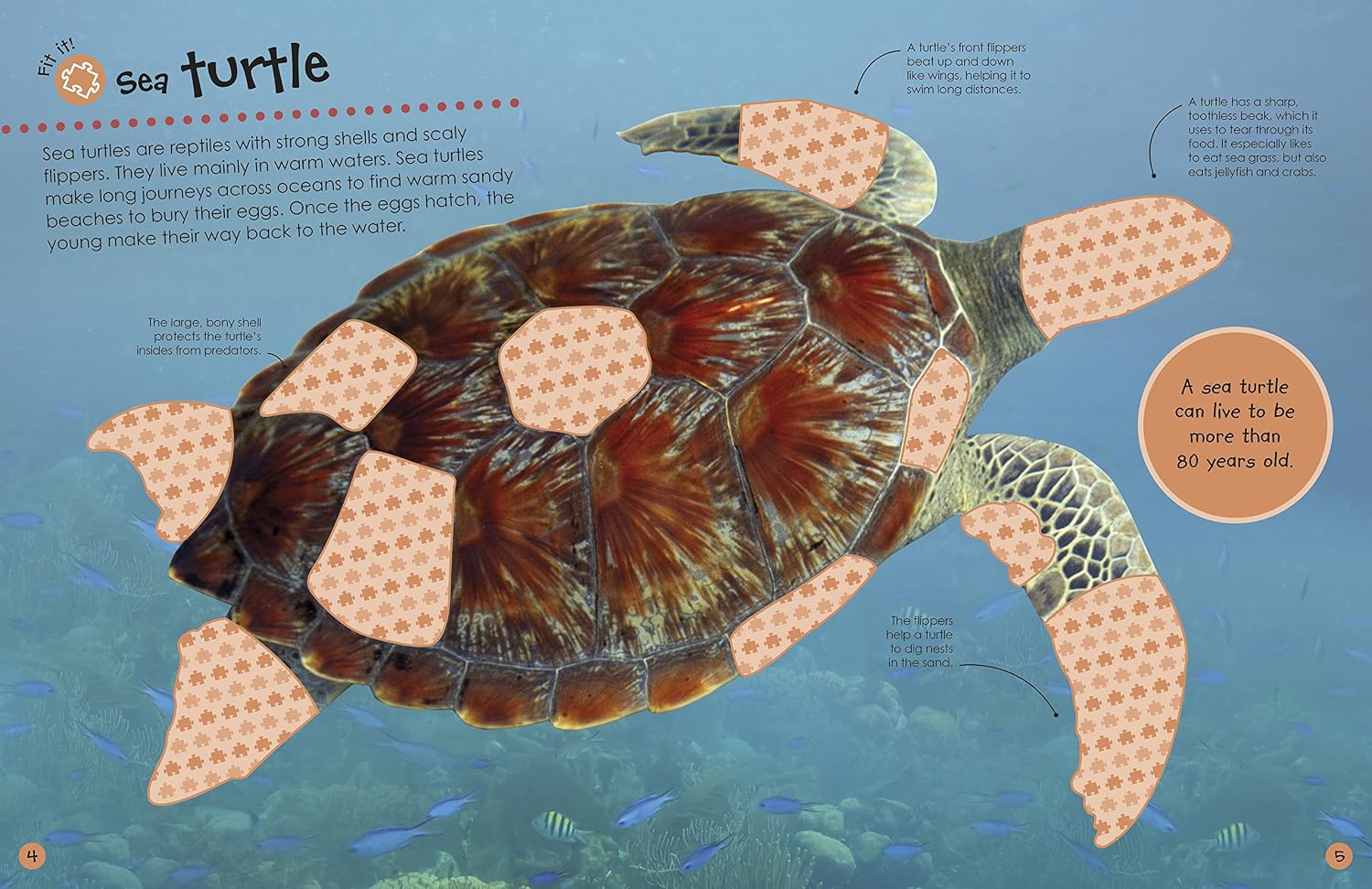 Ocean Ultimate Sticker Book - Image 4