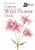 Concise Wild Flower Guide (Concise Guides)